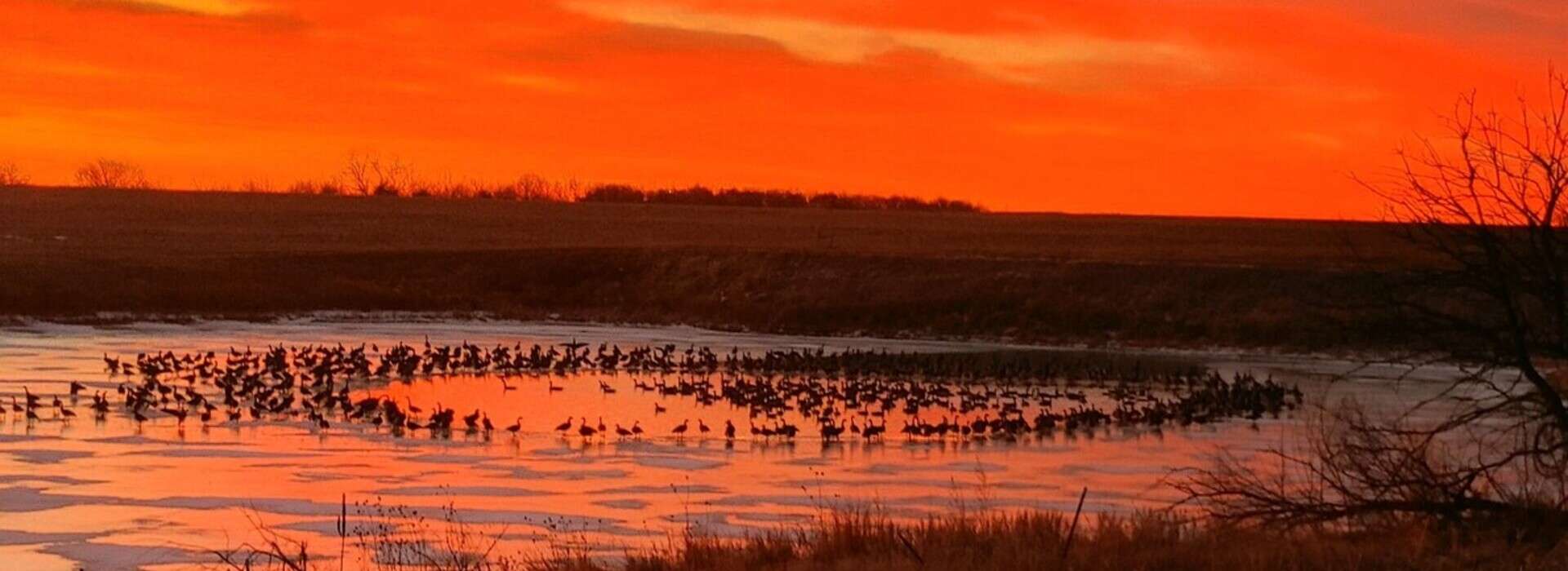 Kansas Waterfowl Hunts | Guided Waterfowl Hunts Kansas Waterfowl Hunts | Guided Waterfowl Hunts