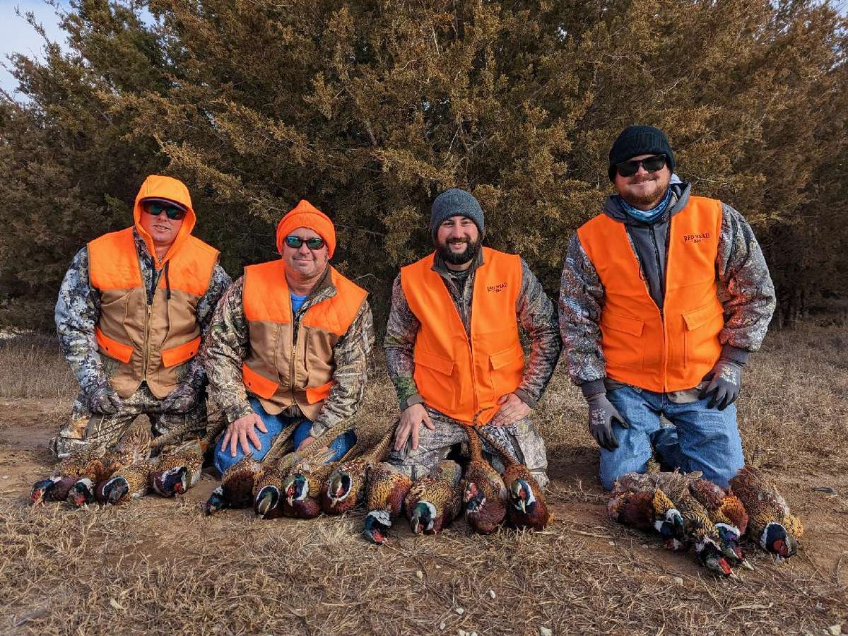 Pheasant Hunts