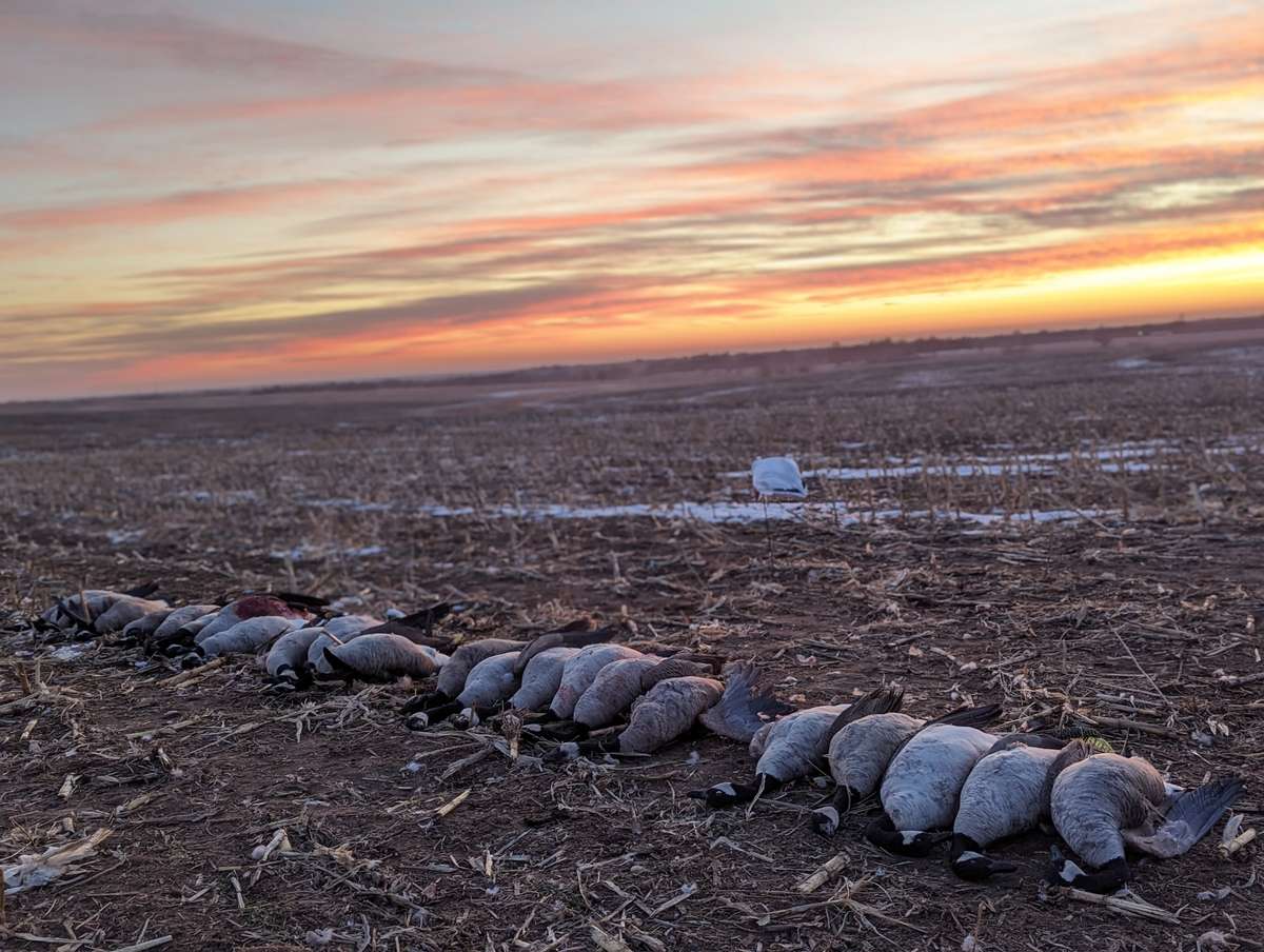 Late Season Duck Hunts Kansas