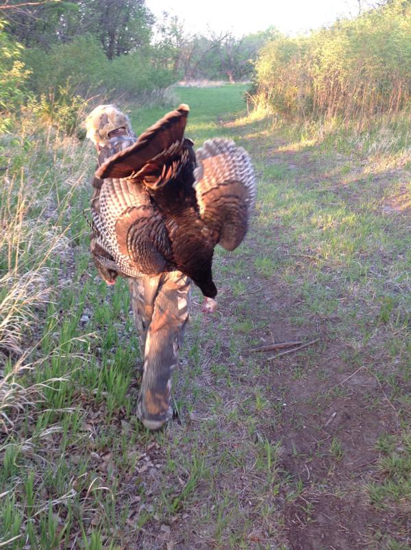 Corporate Turkey Hunts