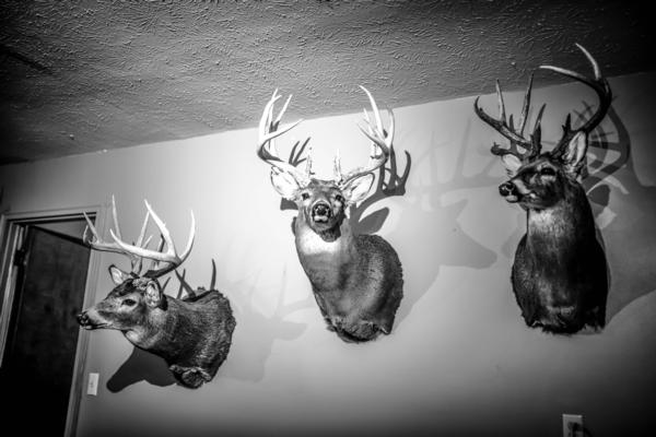Whitetail Hunting Lodge Kansas