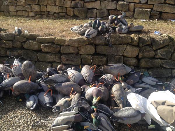 Kansas Waterfowl Hunts