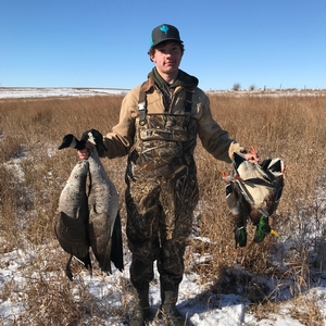 Waterfowl